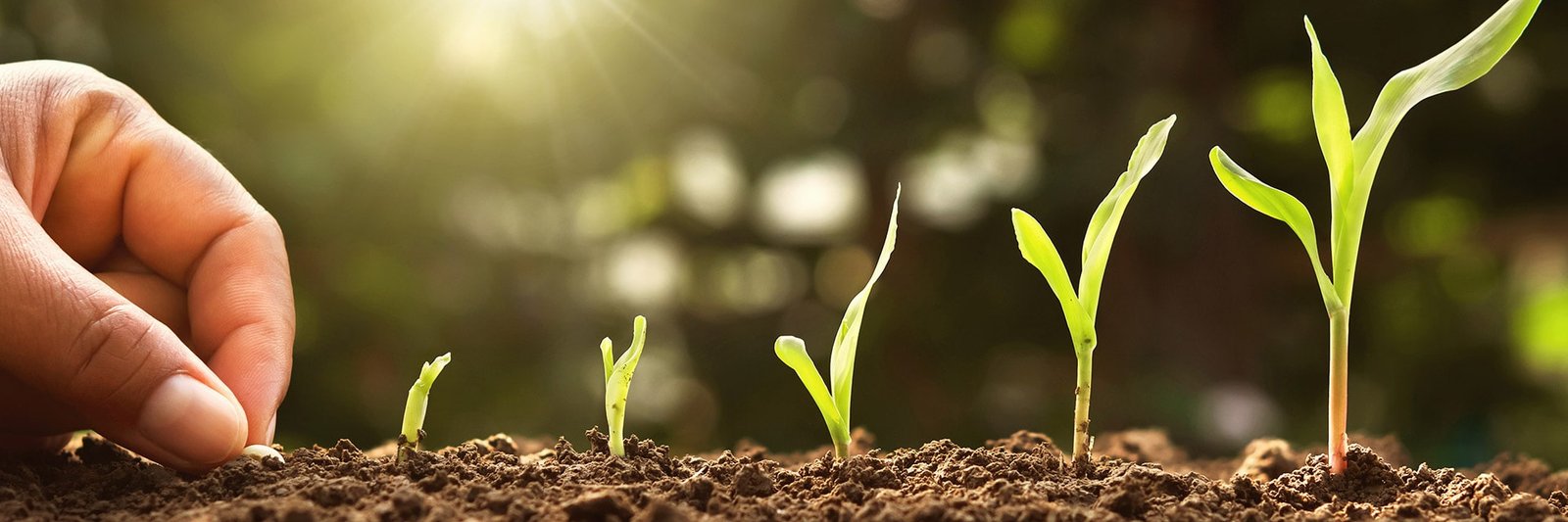 Lago Montenegro - Sustentabilidade