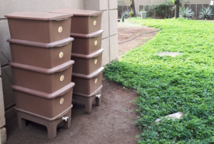 Compostagem: o que é e qual a sua importância